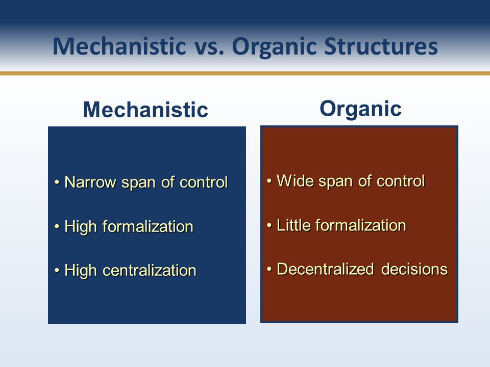 Mechanistic versus organic structures